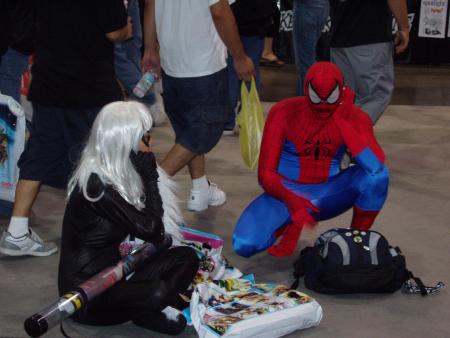 Spider-Man & Black Cat
