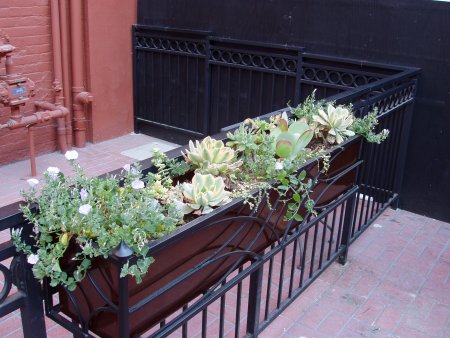 Window Box