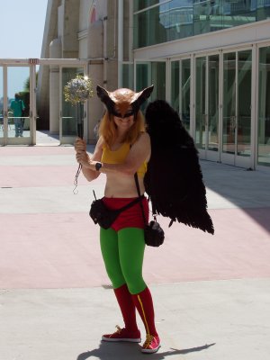 Hawkgirl