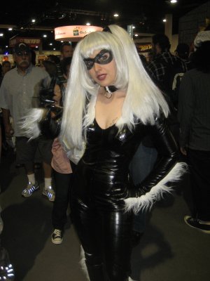 Black Cat