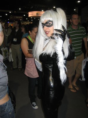 Black Cat (2/2)