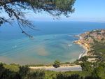 Looking down at the Pacific coast, flanked by pine branches. A paved road runs across the bottom of the frame, already far enough below that a full-sized tree looks the same size as a small plant in the shaded foreground. The road runs straight, but beyond it the coast curves away, forming several coves with rocky shores and a headland. Within the arms of the coves, the water is swirls of turquoise, blue and brown, with a few boat trails and some long wavefronts. Beyond it, the ocean is calm, flat, and blue. The steeper bluffs are mostly dirt, but the shallower parts (which look like they've slid down) are covered by low green bushes. A few houses are visible at the top of the headland. Haze obscures the horizon, but on one side you can see a thin strip of coastline in the distance.