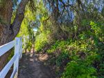 A narrow trail runs along a white fence. Trees line the other side of the fence, their branches arching over the trail and meeting with the brush on the far side.