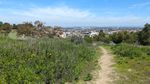 A dirt trail curves around brush on the left and grass on the right, with hills and houses visible in the background.