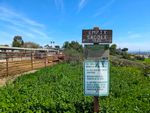 Hilltop view. A metal fence separates the greenery from a cow pen, with a few cows lazing about in the far corner. In the foreground is a signpost with three signs: The top one is wooden and proclaims EMPTY SADDLE TRAIL. Below that is a slickly printed sign with the nature preserve name and rules, and below that is a standard monochrome municipal code sign, printed in green on white, with trail rules (no motor vehicles or bikes, hikers yield to equestrians, etc.)
