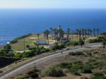 A promonotory, roughly triangular or trapezoidal, with the ocean beyond it and a road curving along the near side, separating it from dry brown grass and low green scrub. The point is lined with bushes and dotted with palm trees. A handful of low white buildings with red roofs are scattered around, and a narrow lighthouse tower is just visible next to one of the palm trees.