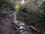 Looking uphill along a narrow muddy trail shaded by trees on both sides and above. A narrow rill of water runs along it. Small branches and loose wooden planks have been placed along the trail.