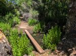 A narrow plank sits loosely across a small stream. Green plants line both banks. On the far side, a trail continues through the bushes.
