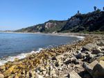 A rocky shore, the rocks smoothed by the waves, curves around a quiet ocean cove on a bright sunny day. Cliffs rise on the far side of the cove.