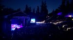 Nighttime view of an outdoor amphitheatre, seen from way off to the side. The stage has that kind of triangular proscenium associated with older Greek theaters, and a small orchestra is lit up purple. A large video screen flanks the far side. You can assume there's one on the near side too, but it's edge on and invisible. The audience seating is full, and stretches up the hillside opposite the stage. In the distance you can see tall pine trees silhouetted against the sky.
