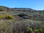 A plain of scrub brush in various shades of green, some rather large houses in the middle distance and some green hills (with more scrub, trees, and a few buildints) behind them.